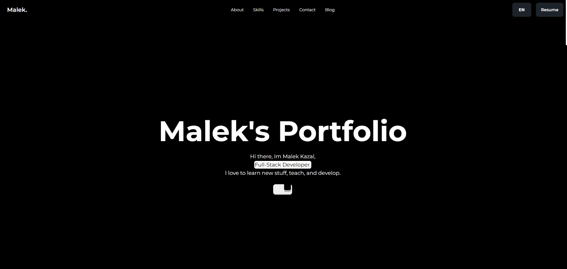 Malek's Portfolio Landing Page